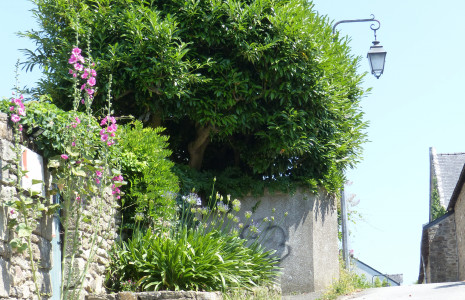 ruelle dans le petit port de St Goustan